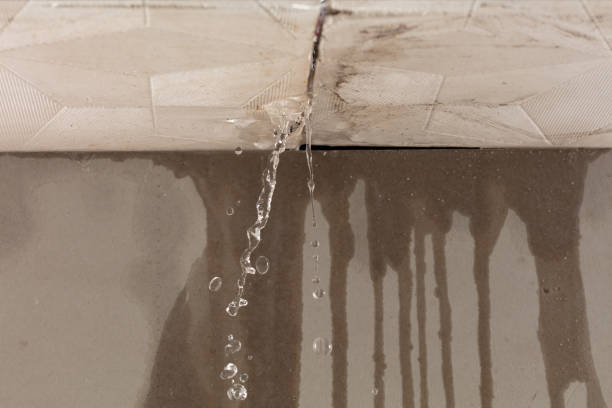 Professional Burst Pipe Cleanup technician working in Ward, CO